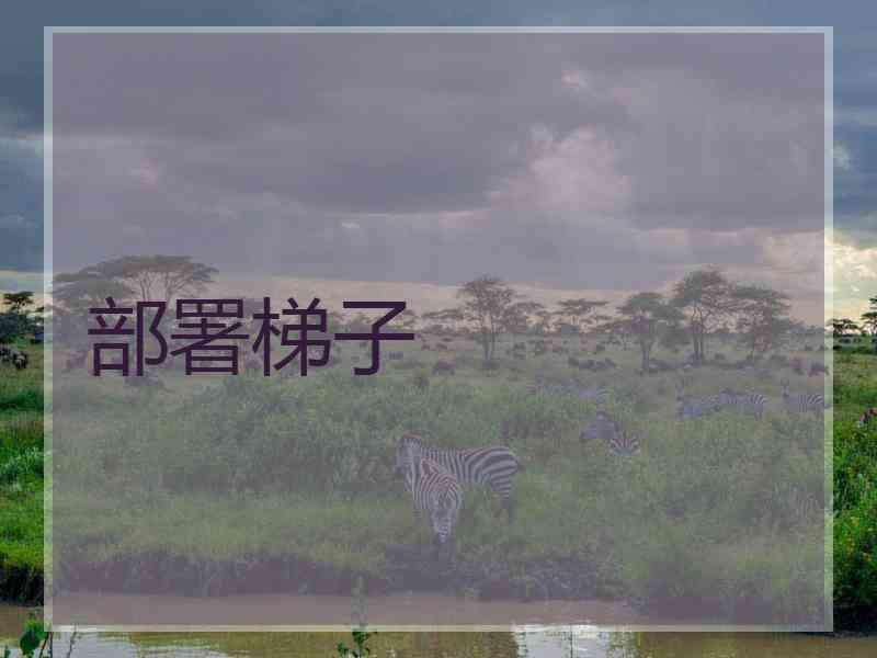 部署梯子
