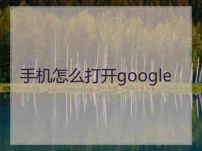 手机怎么打开google