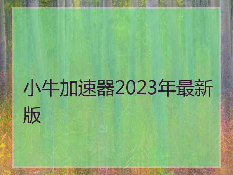 小牛加速器2023年最新版