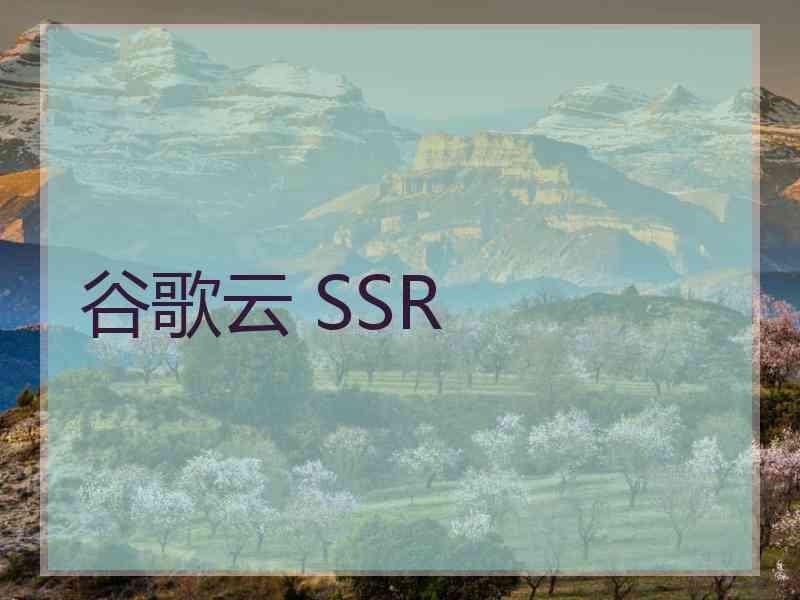 谷歌云 SSR