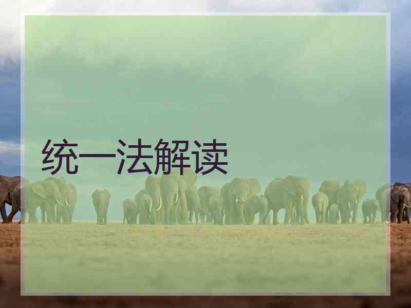 统一法解读
