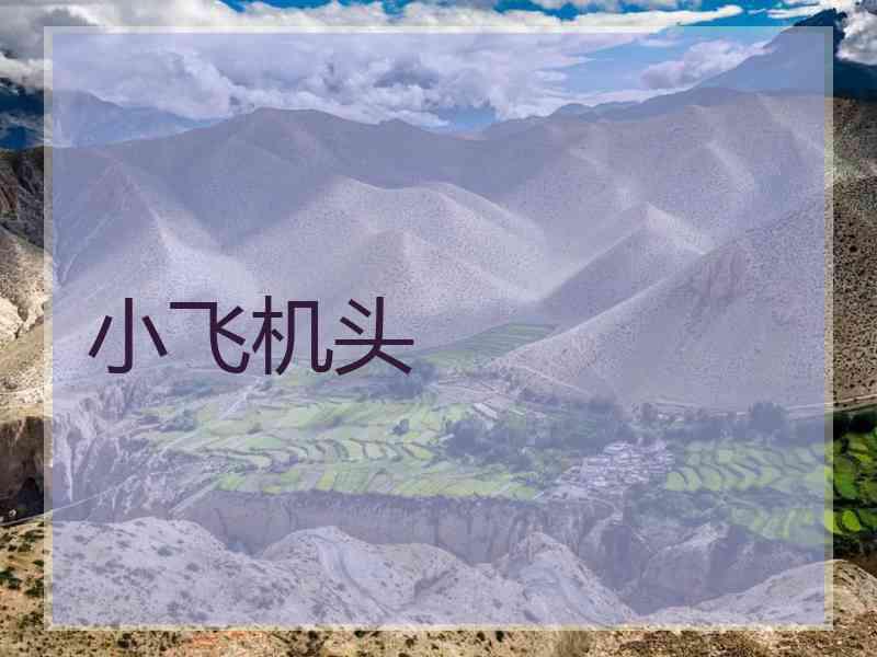 小飞机头