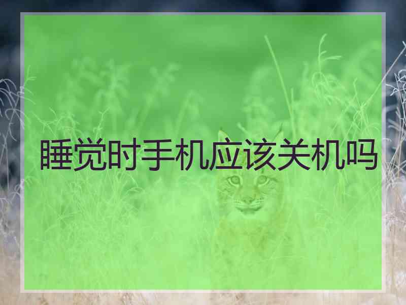 睡觉时手机应该关机吗