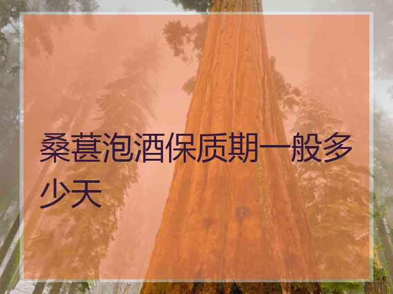 桑葚泡酒保质期一般多少天