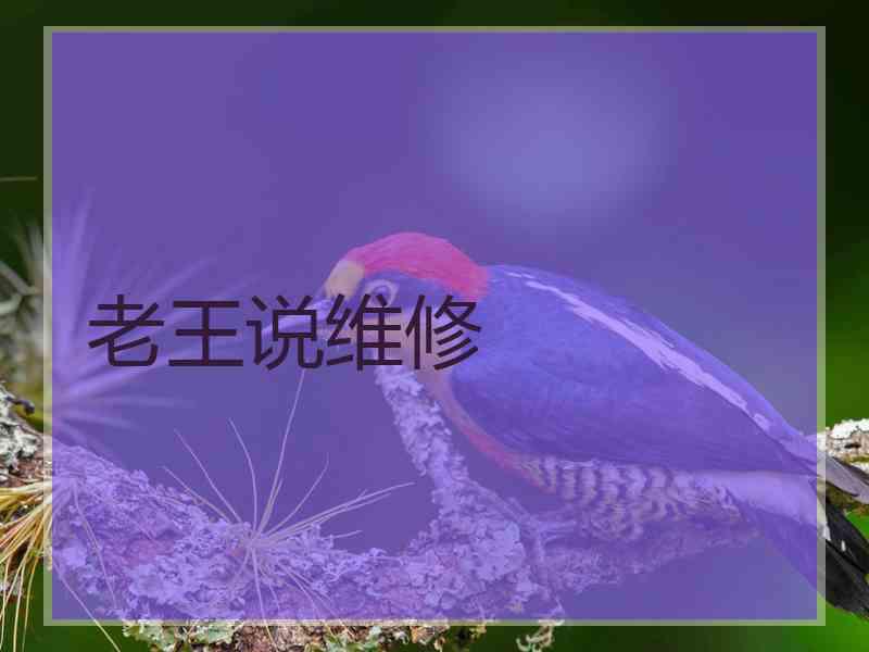 老王说维修
