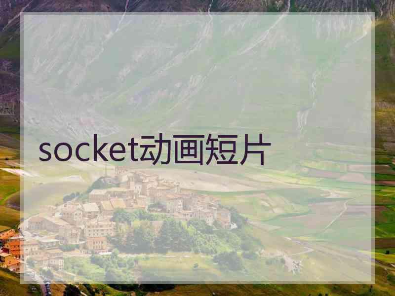 socket动画短片