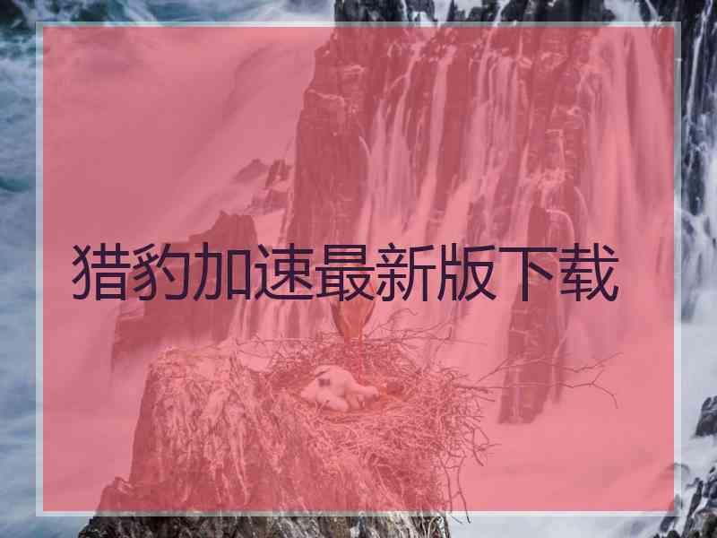 猎豹加速最新版下载
