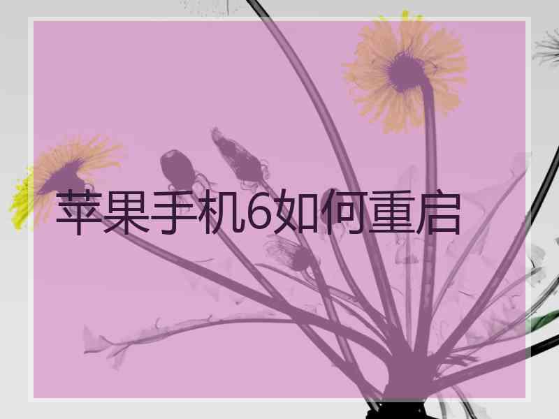 苹果手机6如何重启