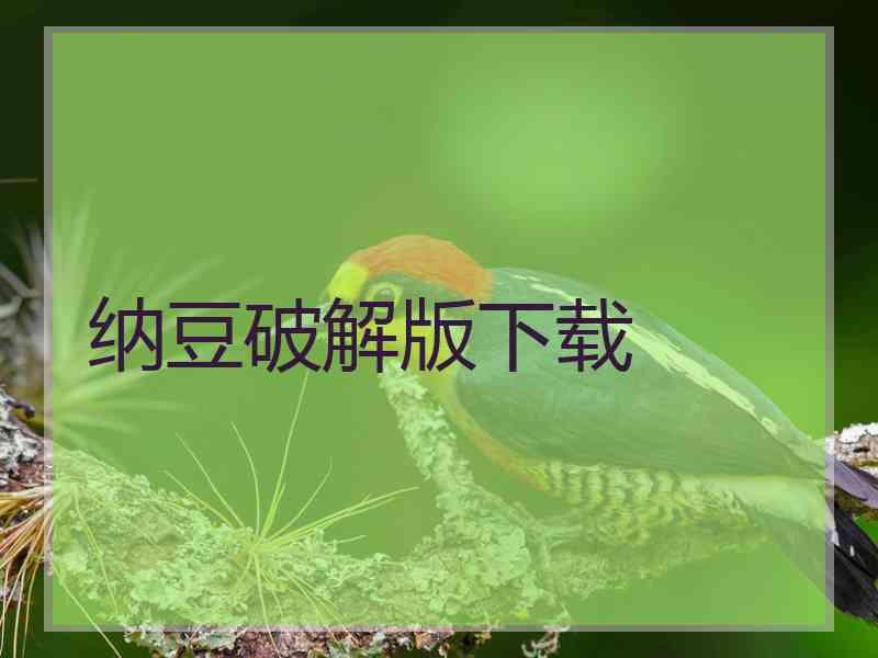 纳豆破解版下载