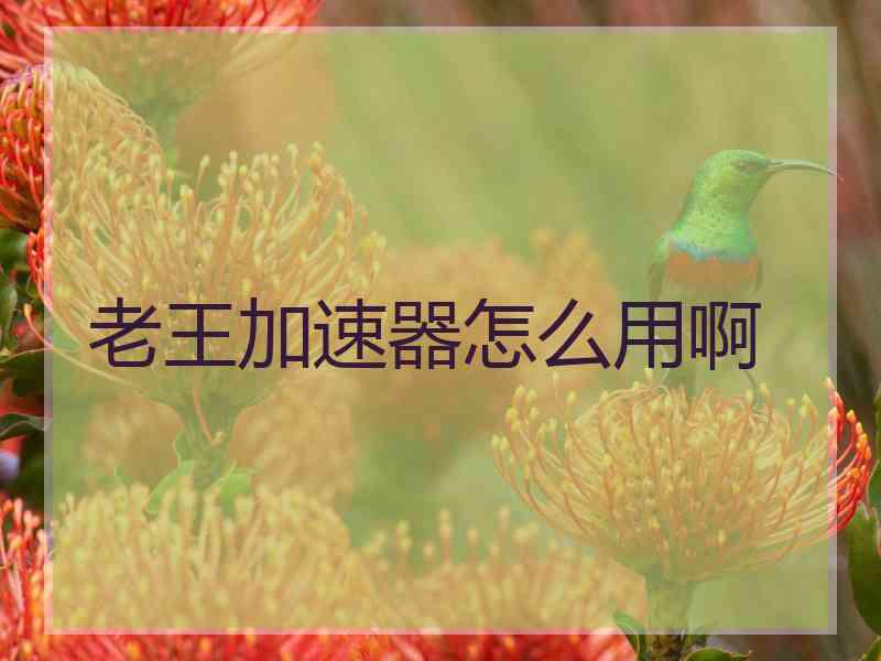 老王加速器怎么用啊