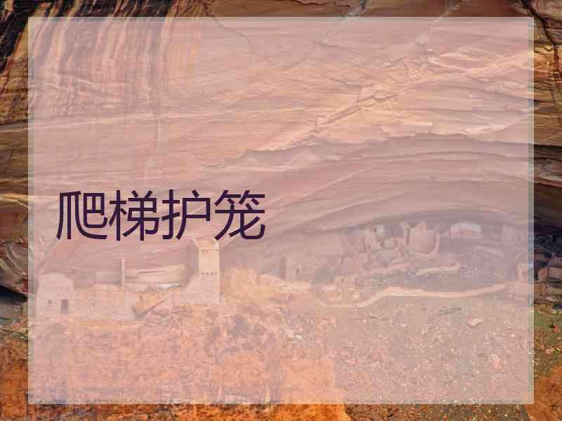 爬梯护笼