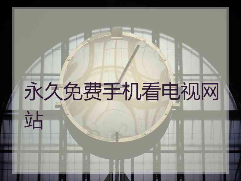 永久免费手机看电视网站