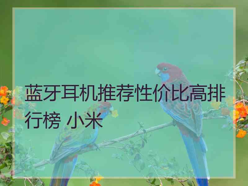 蓝牙耳机推荐性价比高排行榜 小米