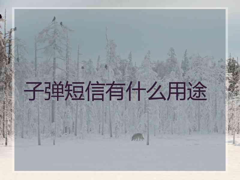 子弹短信有什么用途