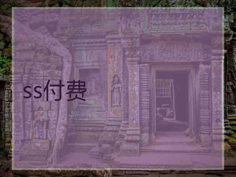 ss付费