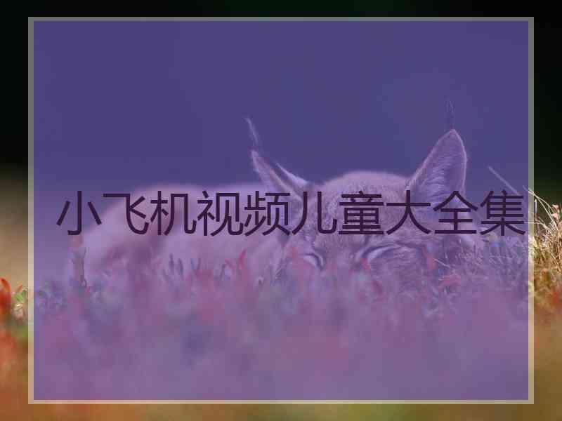 小飞机视频儿童大全集