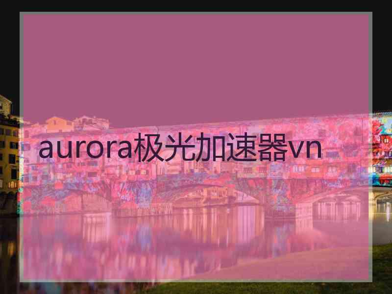 aurora极光加速器vn