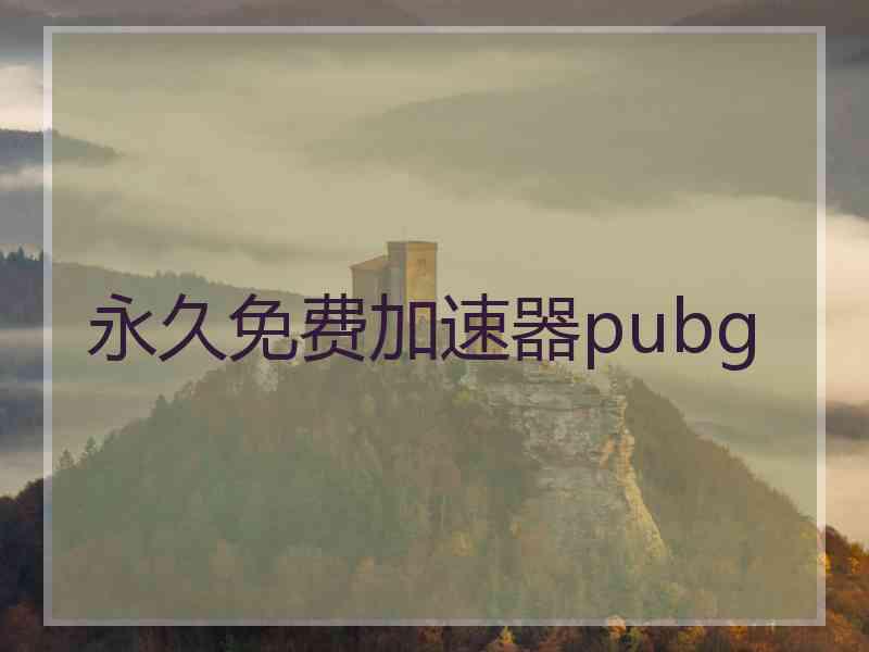 永久免费加速器pubg