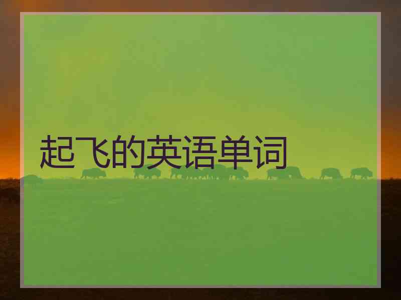 起飞的英语单词