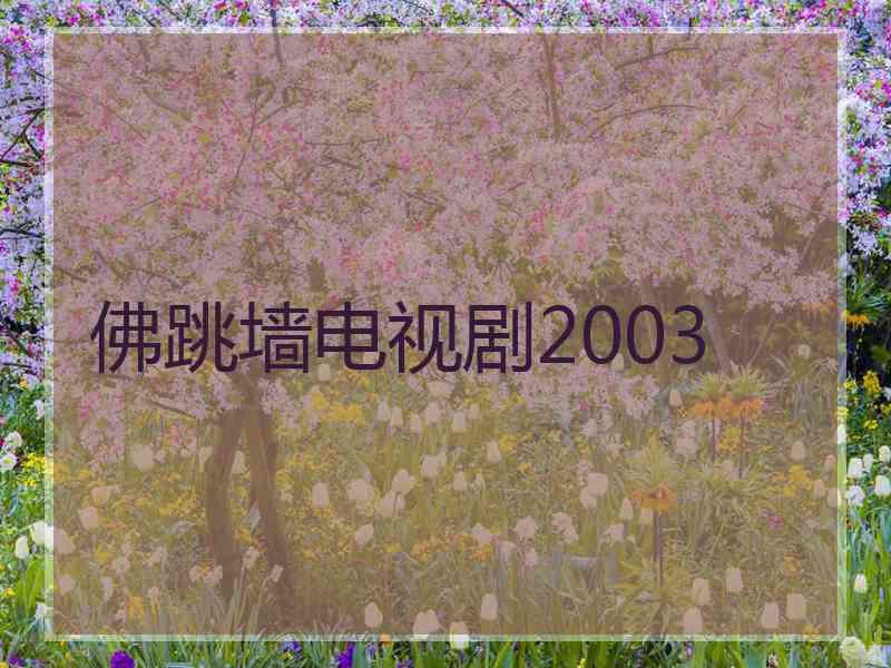佛跳墙电视剧2003