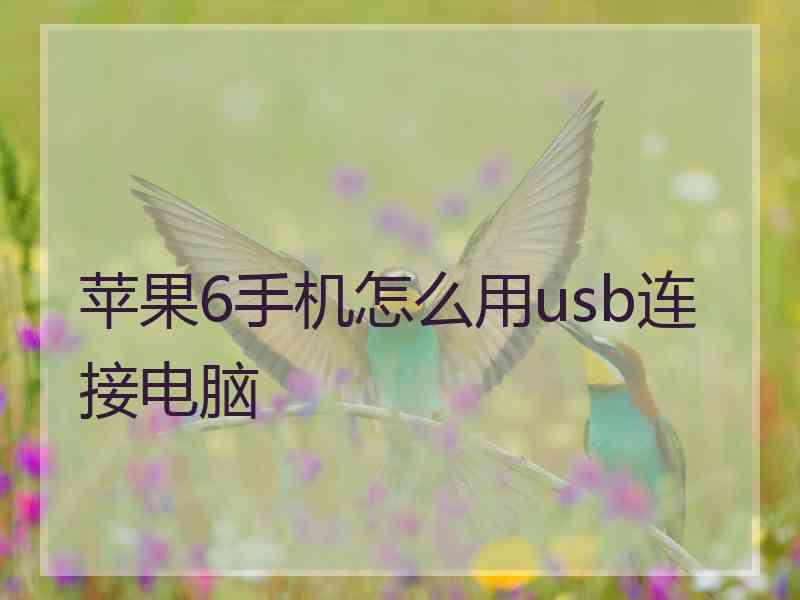 苹果6手机怎么用usb连接电脑