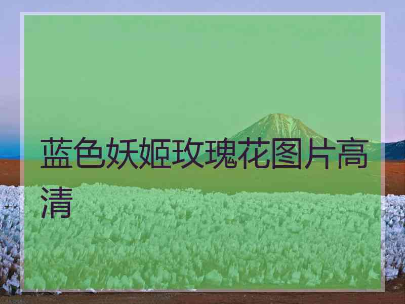 蓝色妖姬玫瑰花图片高清