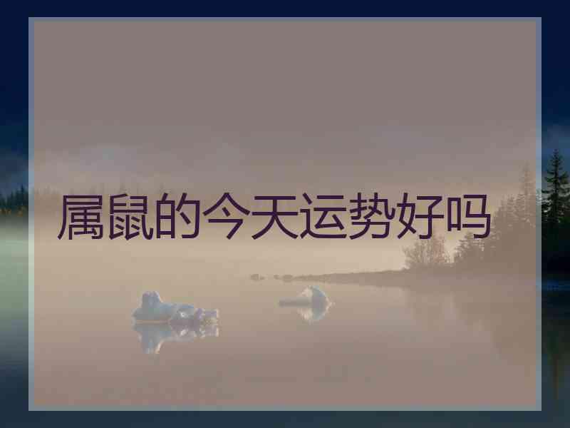 属鼠的今天运势好吗
