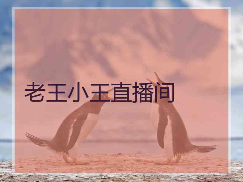 老王小王直播间