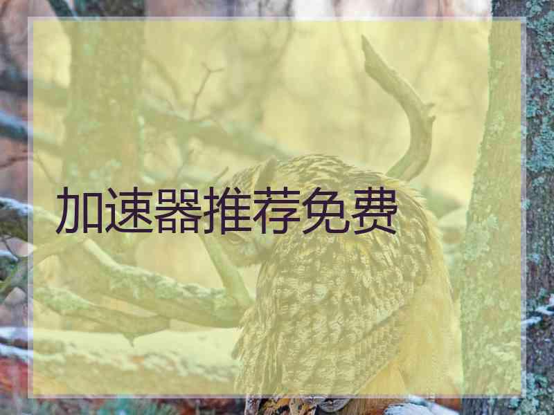 加速器推荐免费