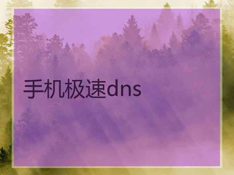 手机极速dns
