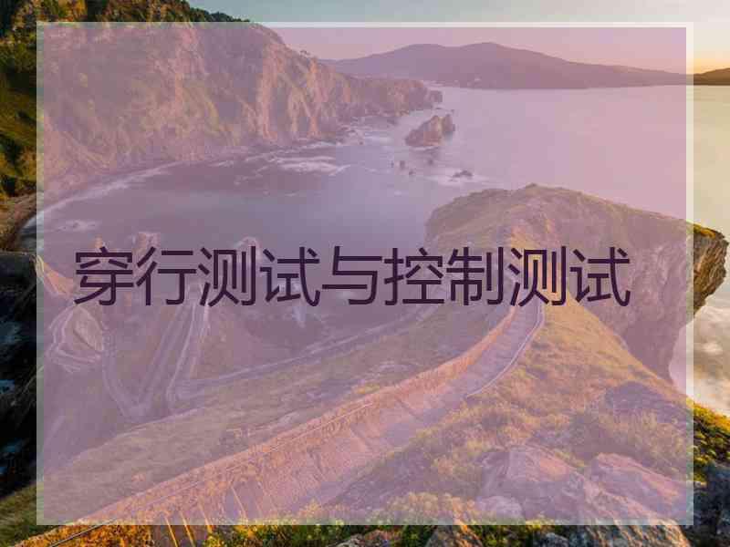 穿行测试与控制测试