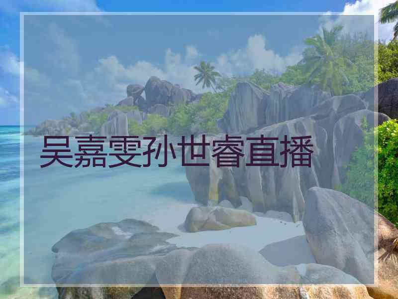 吴嘉雯孙世睿直播