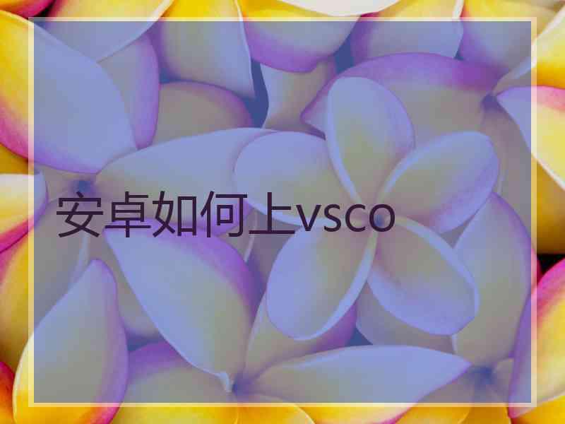 安卓如何上vsco
