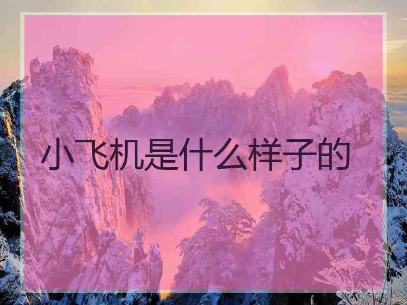 小飞机是什么样子的