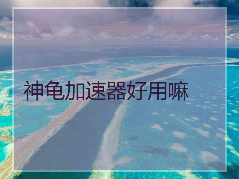 神龟加速器好用嘛