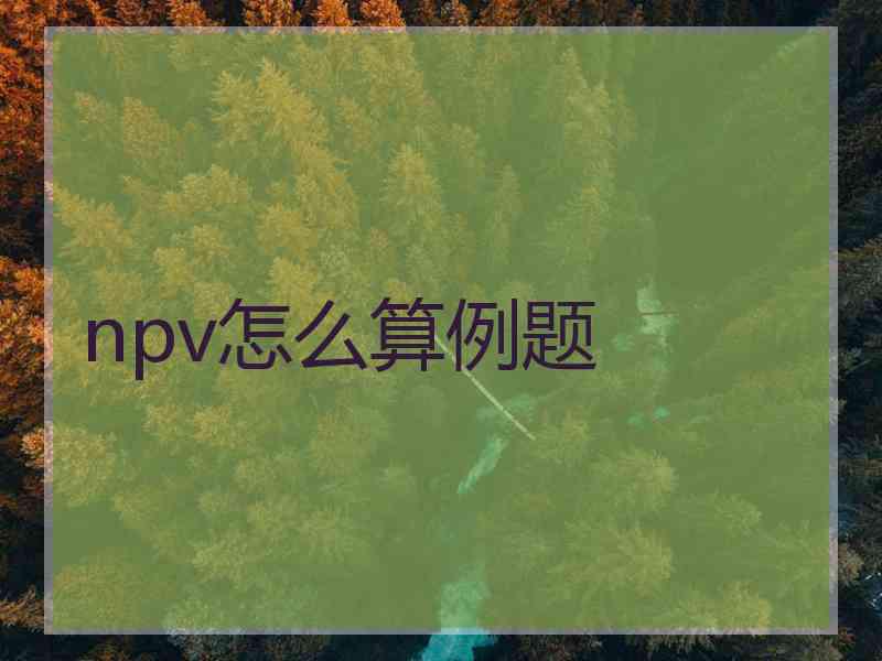 npv怎么算例题