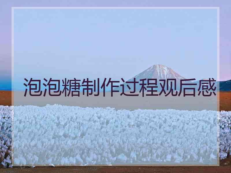 泡泡糖制作过程观后感