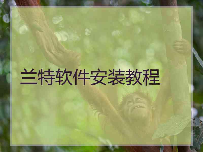 兰特软件安装教程