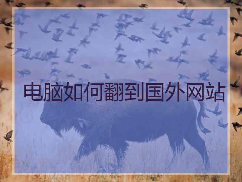 电脑如何翻到国外网站