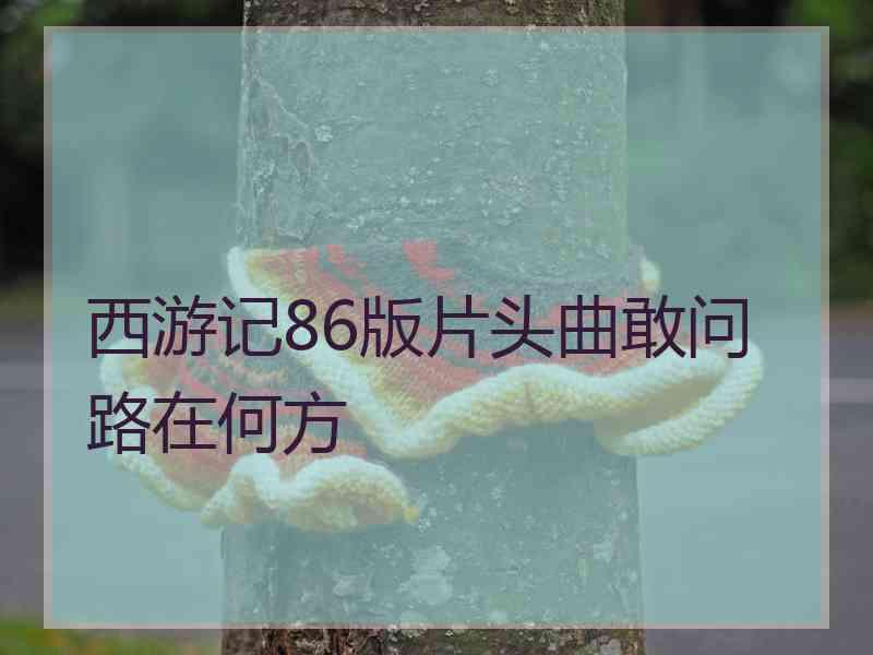 西游记86版片头曲敢问路在何方