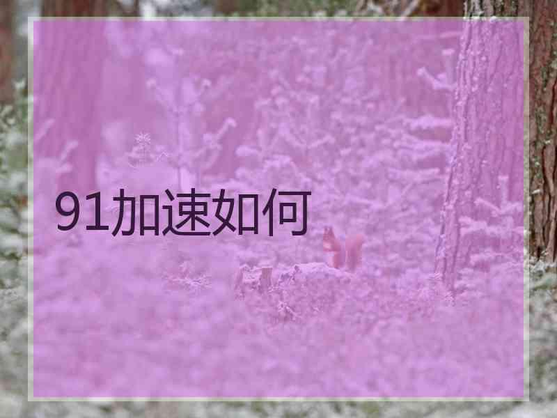 91加速如何