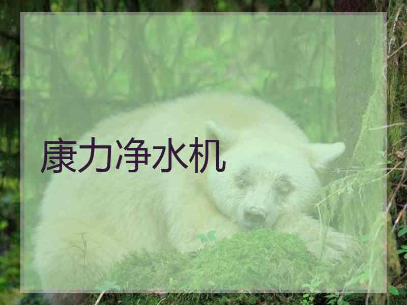康力净水机