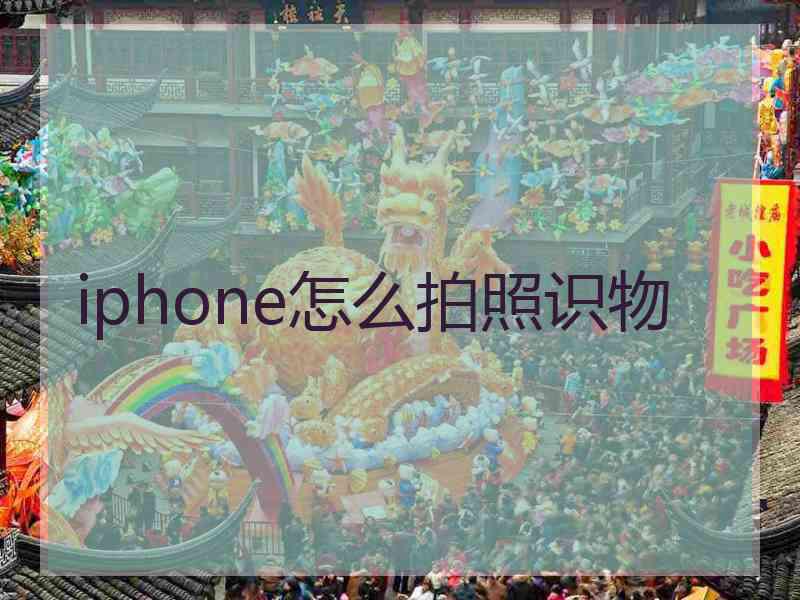 iphone怎么拍照识物