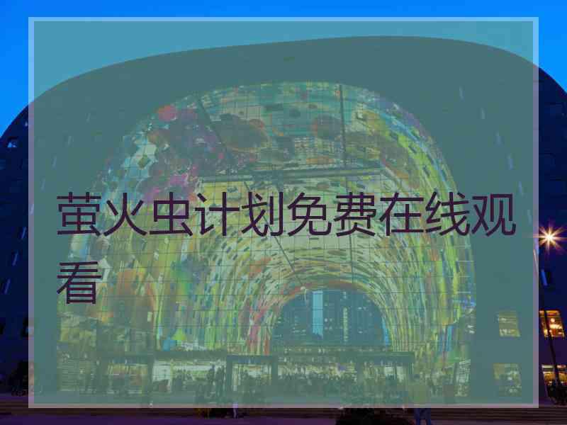 萤火虫计划免费在线观看