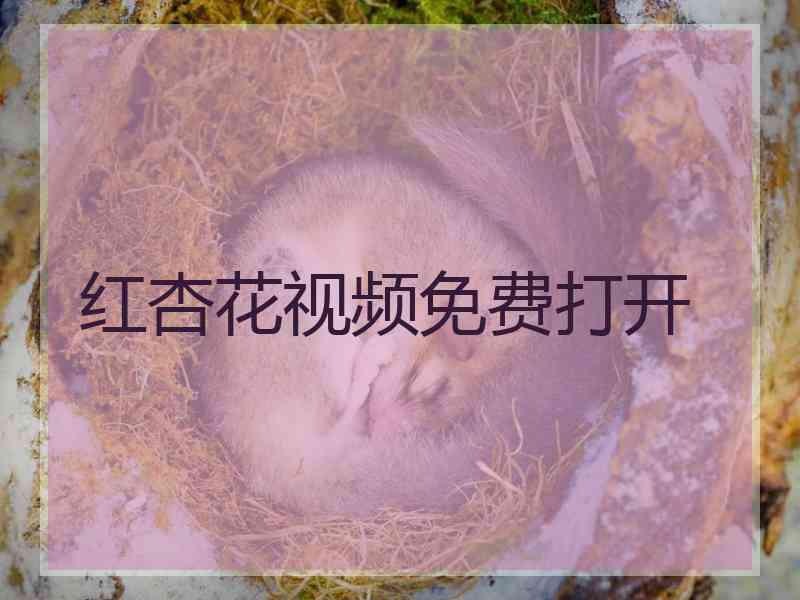 红杏花视频免费打开