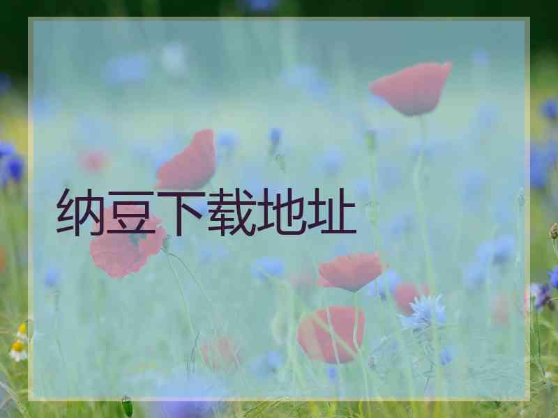 纳豆下载地址