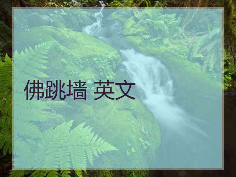 佛跳墙 英文