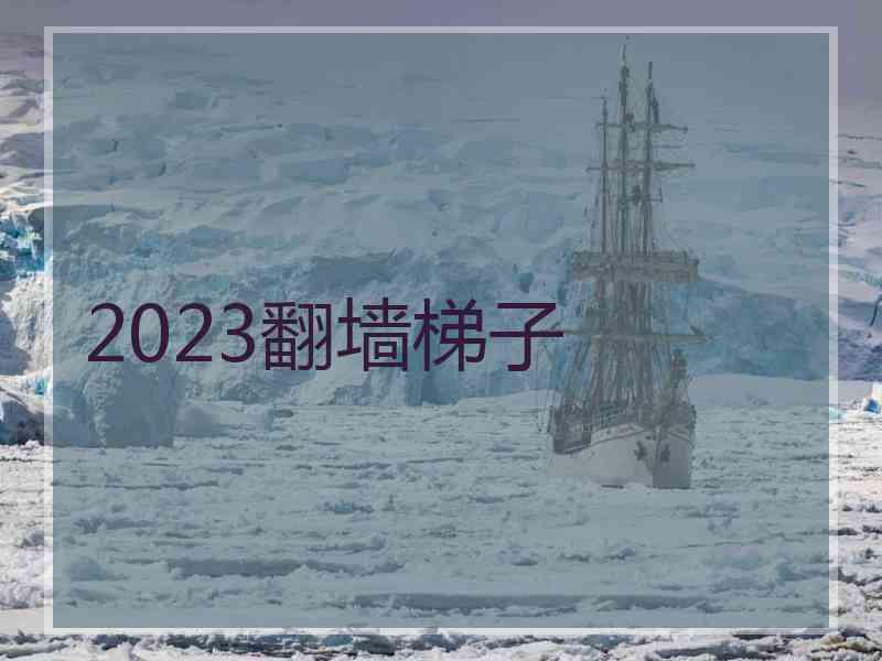 2023翻墙梯子