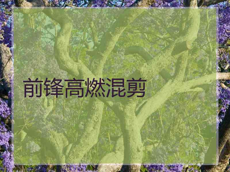 前锋高燃混剪