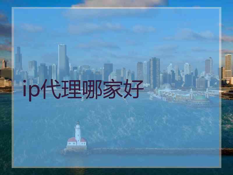 ip代理哪家好